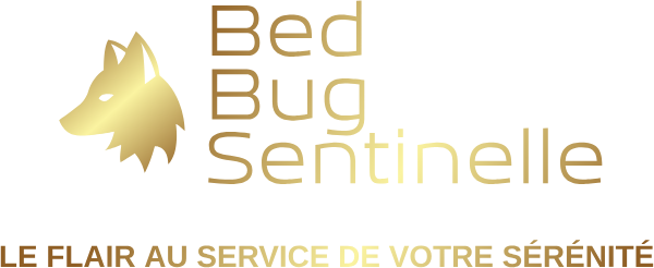 Bed Bug Sentinelle